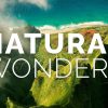 Top Nature Documentaries to Explore Wonders of Our Planet