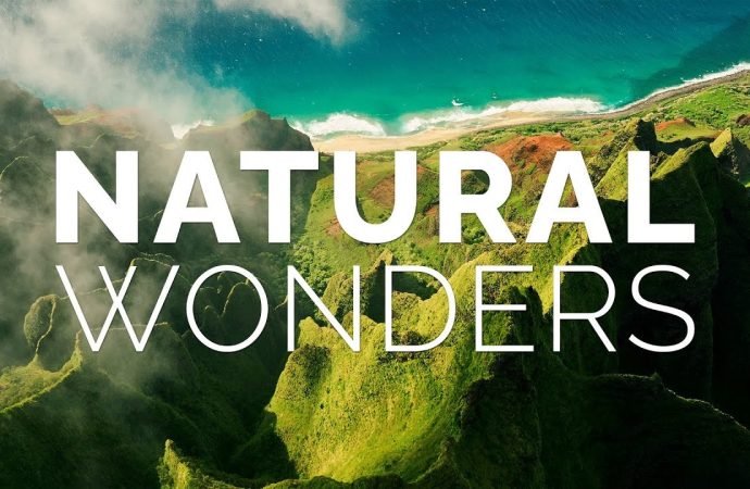 Top Nature Documentaries to Explore Wonders of Our Planet