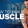 The Best Workouts for Building Muscle Fast