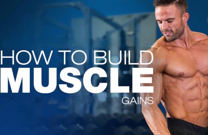 The Best Workouts for Building Muscle Fast