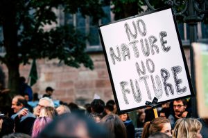 The Best Ways to Advocate for Environmental Change