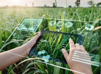 The Role of AI in Modern Agriculture