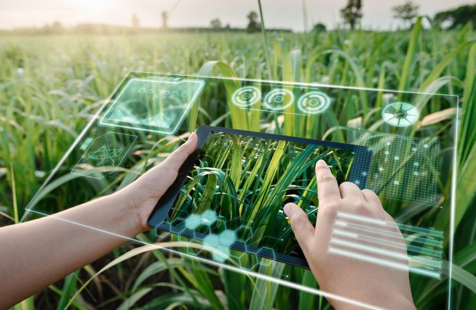 The Role of AI in Modern Agriculture