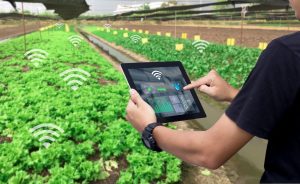 The Role of AI in Modern Agriculture