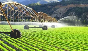 The Role of AI in Modern Agriculture