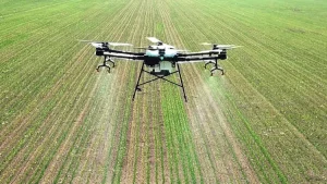 The Role of AI in Modern Agriculture