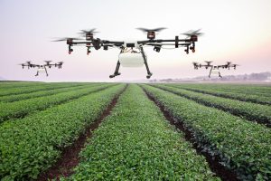 The Role of AI in Modern Agriculture