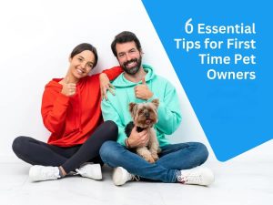 Pet Care Tips for First-Time Dog Owners 2025