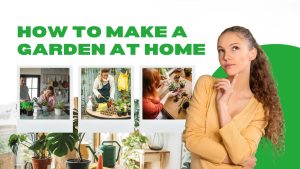 Indoor HOME Garden 2025
