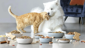 Understanding Pet Nutrition: Top Diet Trends