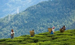 Budget Solo Travel Routes for Eco-Conscious Adventurers