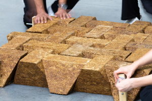 Sustainable Building Materials Transforming Homes
