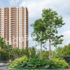 Discover Your Dream Home at Birla Evara Sarjapur in Bangalore