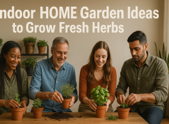 Indoor HOME Garden Ideas to Grow Fresh Herbs 2025
