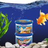 Hikari Fish Food Online: Feeding Tips for US Aquariums
