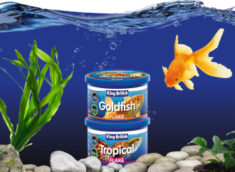 Hikari Fish Food Online: Feeding Tips for US Aquariums