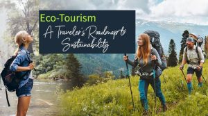 Sustainable Eco-Tours 2025