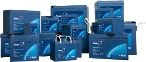 LFP Batteries Powering Next-Gen EVs in 2025