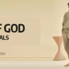 Essentials Hoodies That Redefine Minimalist Fashion