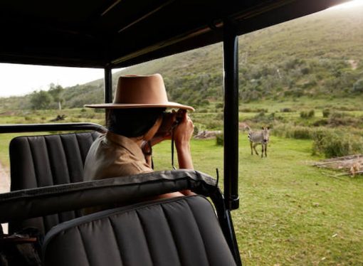 10 South African Destinations You Can’t Miss in 2025