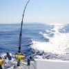 How to Choose the Right Fishing Charter in Miami for Your Group