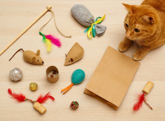 DIY Cat Toys: Easy Projects You Can Do