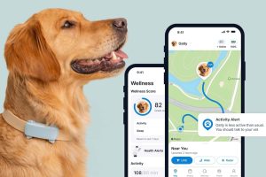 Pet Care Tips for First-Time Dog Owners 2025