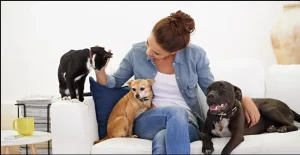 Understanding Pet Nutrition: Top Diet Trends