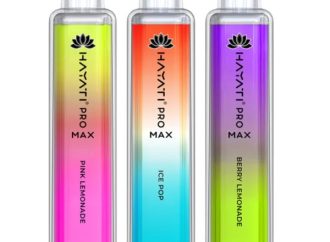 Hayati Pro Max 4000 Puffs Box of 10