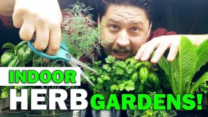 Indoor HOME Garden 2025