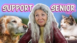 Balanced Diet Plans for Senior Pets 2025