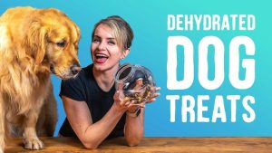 Natural Homemade Pet Treat Recipes