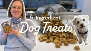 Natural Homemade Pet Treat Recipes