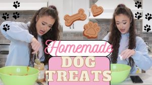 Natural Homemade Pet Treat Recipes