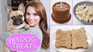 Natural Homemade Pet Treat Recipes