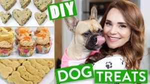 Natural Homemade Pet Treat Recipes
