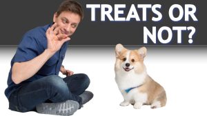 Natural Homemade Pet Treat Recipes