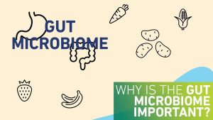 Gut Health: Why It’s More Important Than Ever in 2025