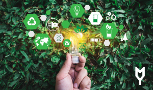 Guide to Sustainable Business Models for Future Profit
