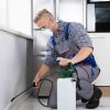 Effective Solutions for Home Infestations