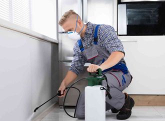 Effective Solutions for Home Infestations