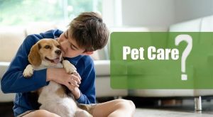 Pet Care Tips for First-Time Dog Owners 2025