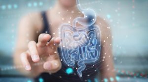 Gut Health: Why It’s More Important Than Ever in 2025
