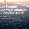 Can Character AI Creators See Your Chats?