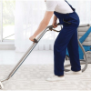 What to Expect From Professional Carpet Cleaning Services