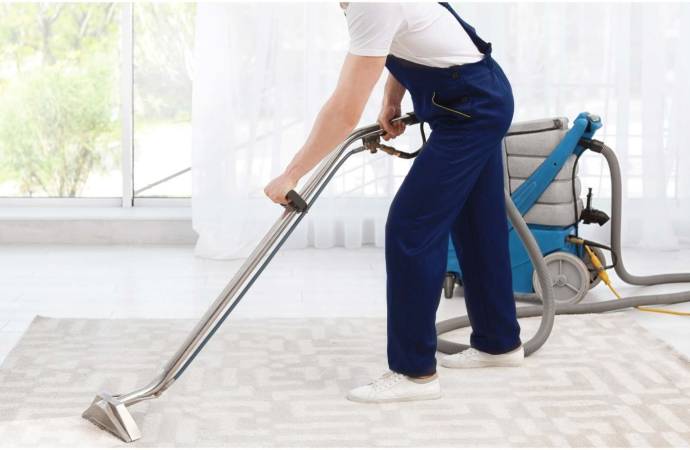 What to Expect From Professional Carpet Cleaning Services