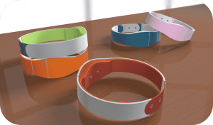 Smart Pet Wearables Keep Furry Friends Healthy