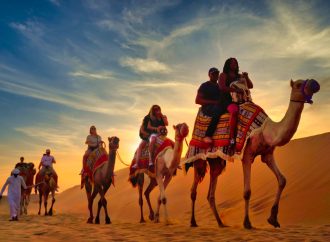 The Best Dubai Desert Safari by Bus Experience