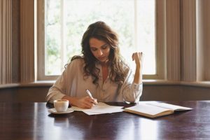 Novel Writer