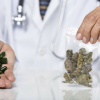 Where Licensed Cannabis Doctors Are in New York